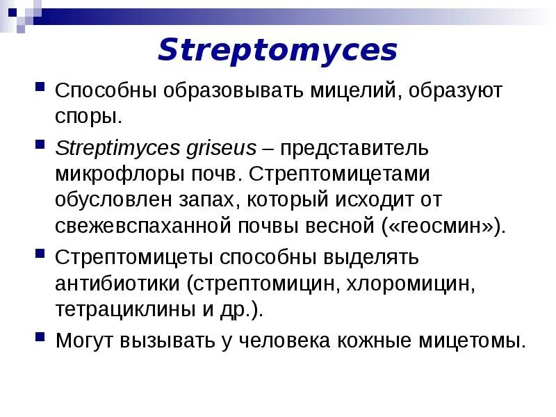 Род Streptomyces. Streptomyces griseus морфология. Стрептомицеты антибиотики. Стрептомицеты морфология. Морфология как улучшить