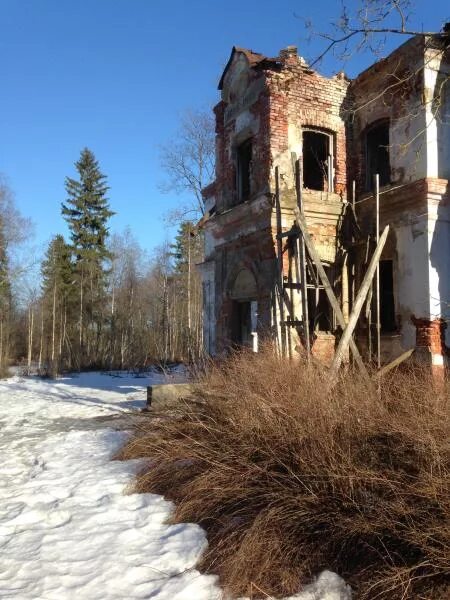 Вакансии губино. Кикерино усадьба. Усадьба Губино. Усадьба Губино Курковицы. Усадьба ваулина в Кикерино.