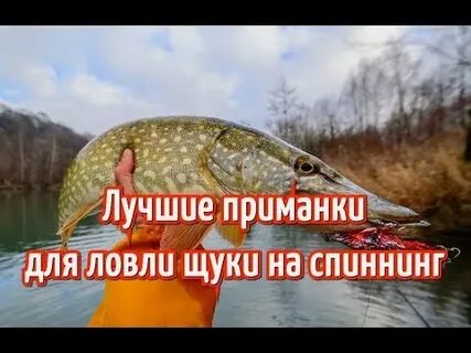 Лучшая приманка на щуку в октябре