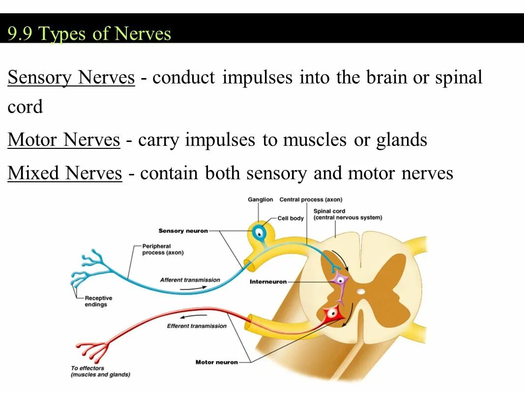 Getting on nerve перевод. Getting on nerve перевод