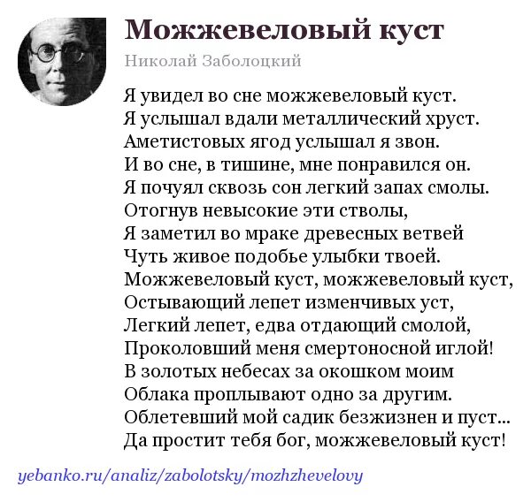 Вечер на оке заболоцкий стих. Стихотворение можжевеловый куст Заболоцкий. Стих Николая Алексеевича Заболоцкого можжевеловый куст.