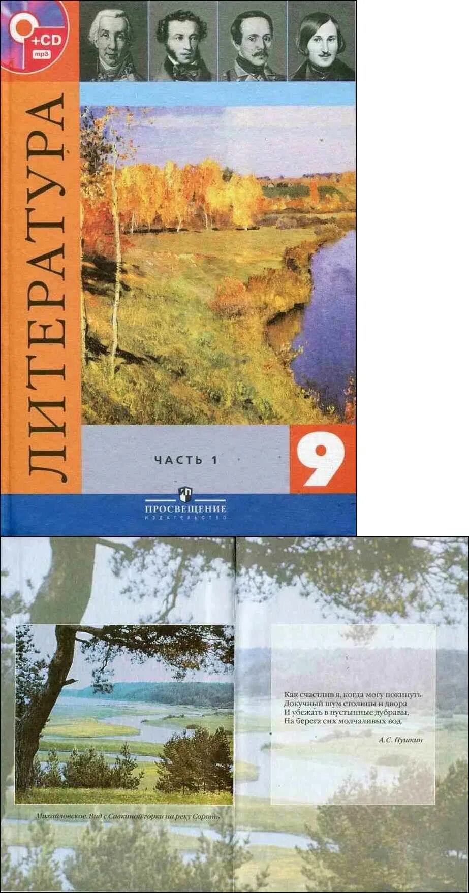 Учебник по литературе 9 класс. Книга по литературе 9 класс. Электронная версия литература 9 класс. Литература 9 класс литература зинин. Электронная версия литература 9 класс.