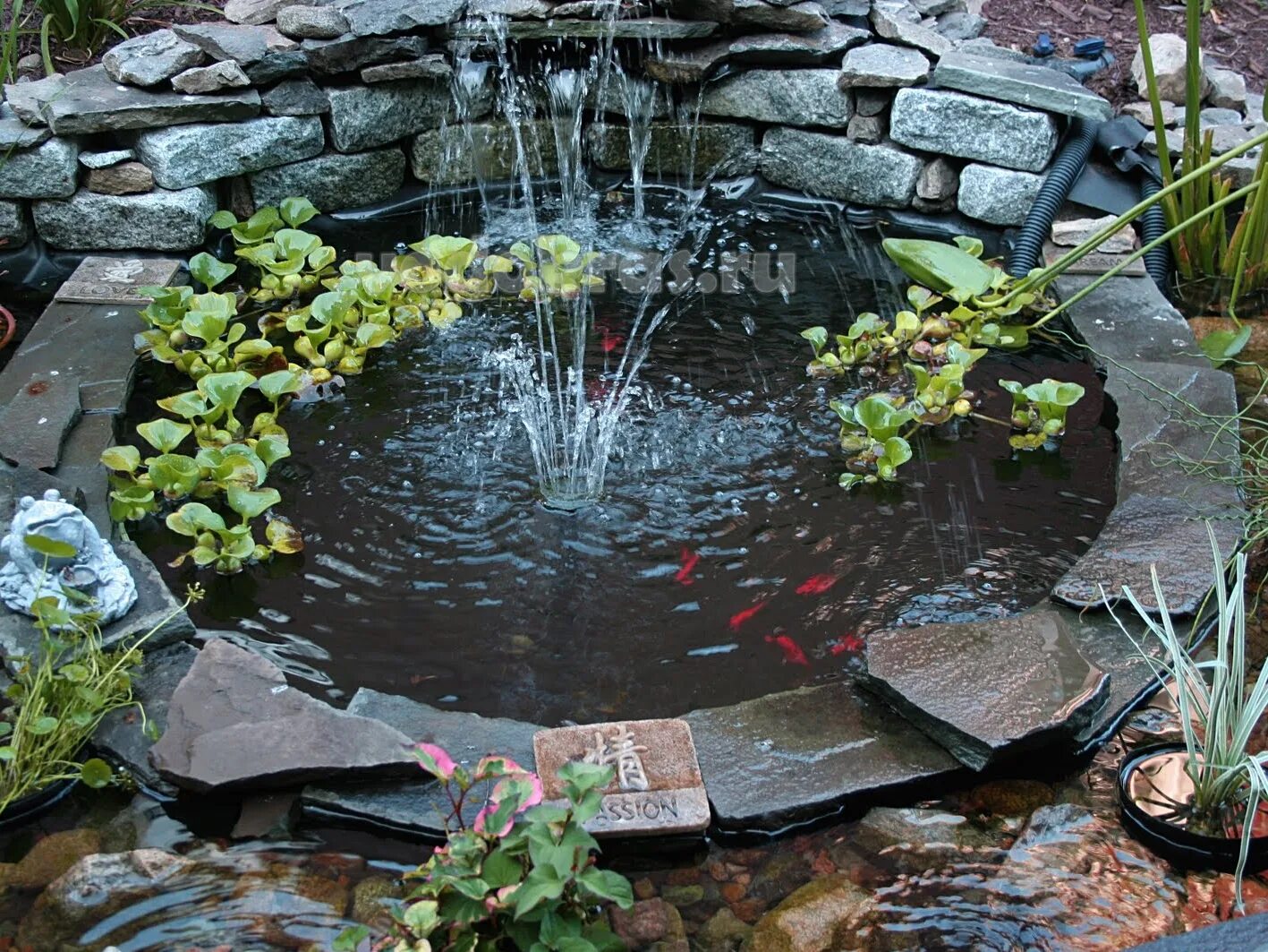 емкости для мини прудика на даче. огородный прудик. мини прудик. дачный прудик ландшафт. мини пруд на даче.