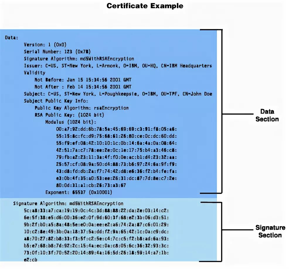 TLS Certificate x509. X509 сертификат. X509 Certificate example next update.