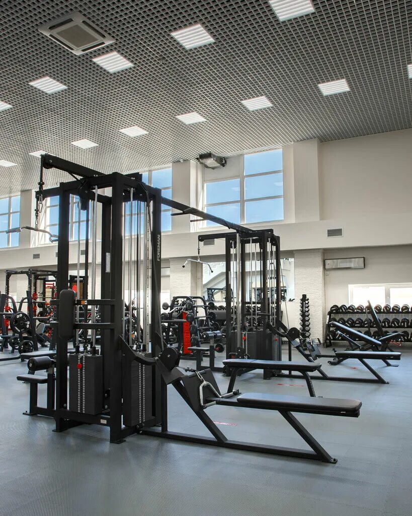 Foreman fm-808. Prime фитнес клуб владивосток. рычажный тренажер foreman. хардирон. скамья универсальная fw-702 foreman.