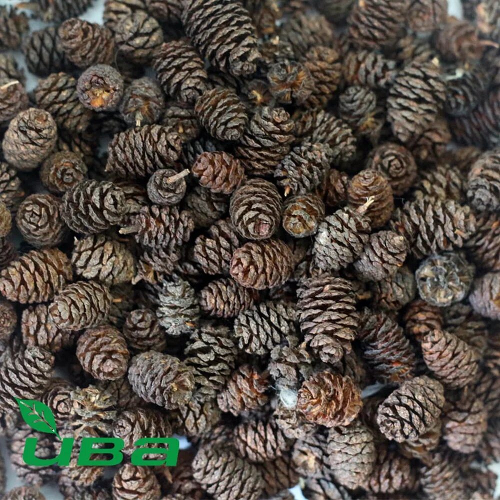 Как выглядят семена ольхи Images of Pomegranate Seeds Dry #golfclub