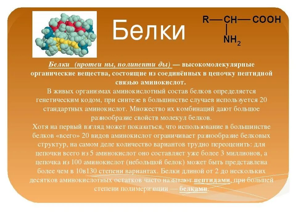 Белки биология. Белок это кратко. Белки в химии кратко. Белки а и б.