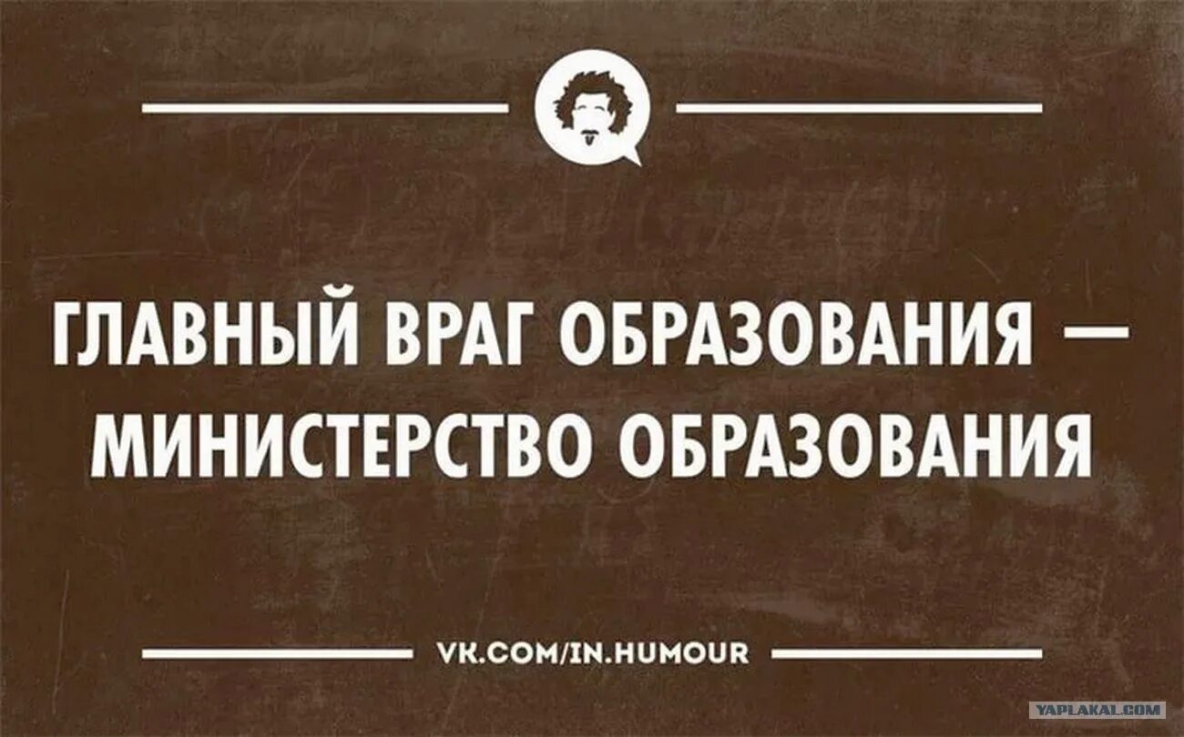 Образование бесполезно. Шутки про образование. Смешные цитаты про высшее образование. Приколы про Министерство образования. Анекдоты про образование.