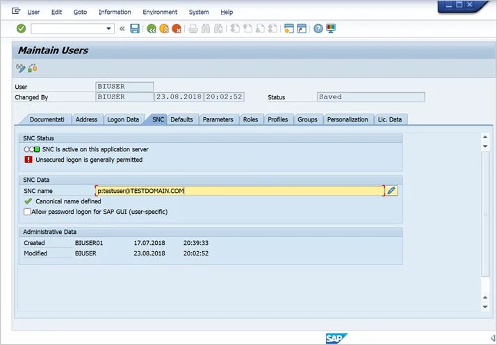 Using sap. Sap bw. sap sso. sap bw icon.