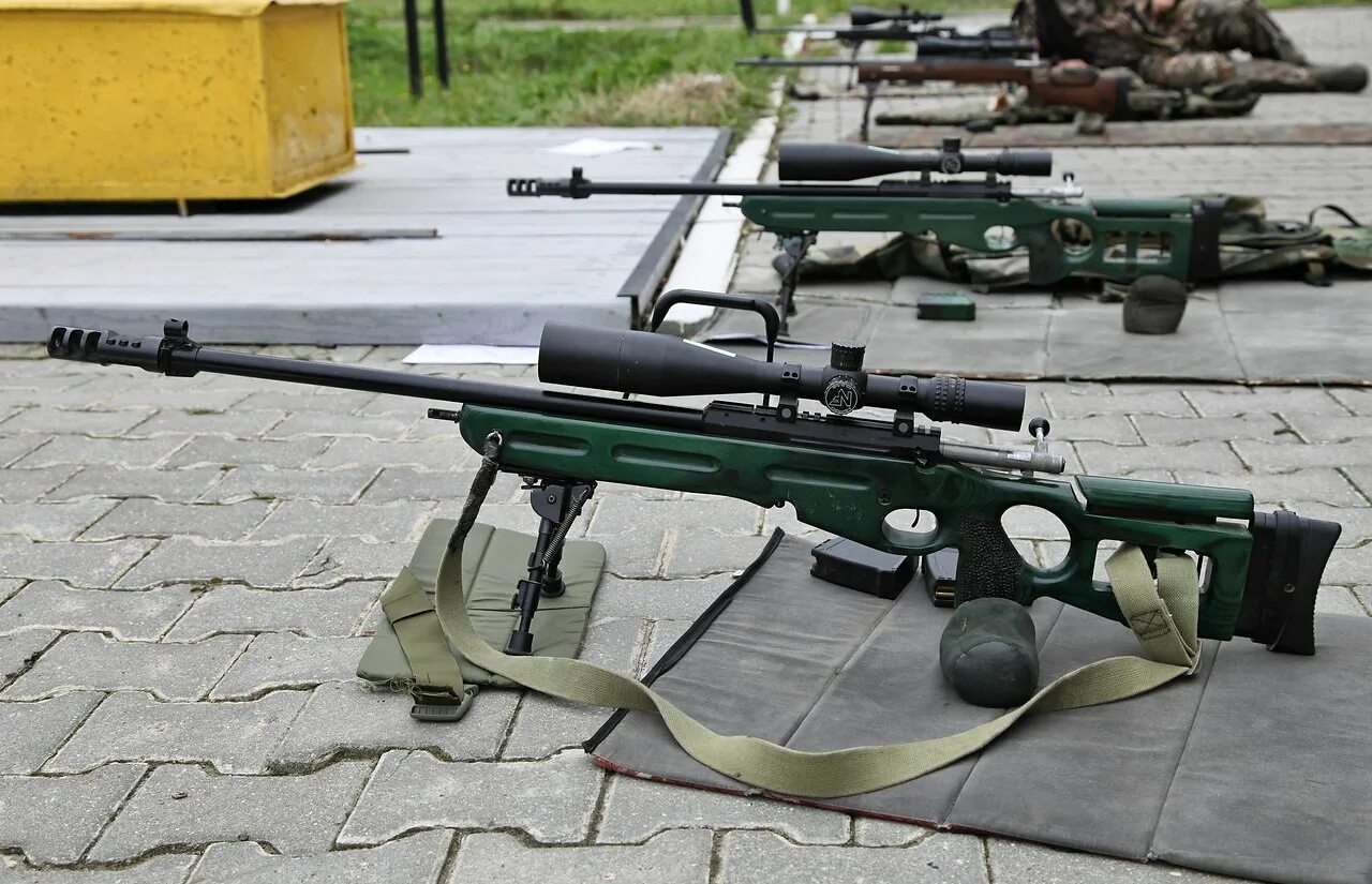 Св-98 снайперская винтовка. Sv98 снайперская винтовка. SV 98 винтовка. Св98 ssg24.