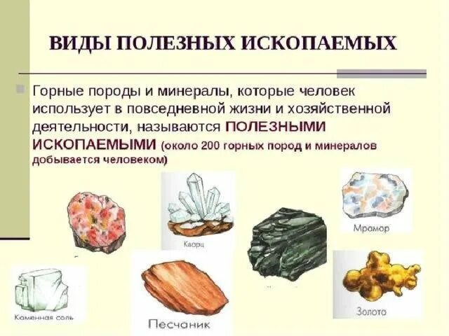 Рассмотрите рисунки с ископаемыми остатками животных. Полезные ископаемые. Горные породы. Минералы и полезные ископаемые. Полезные горные породы.