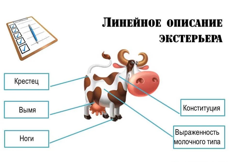 Линейное оценивание