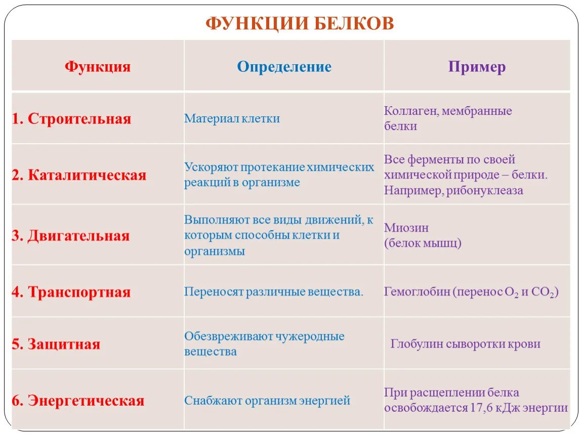 Тест белки функции. Функции белков 10 класс биология. Функции белков строительная каталитическая. Строительная функция белков. Строительная функция белков примеры.