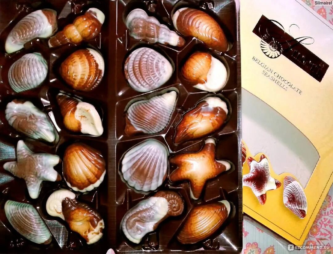 Амери бельгийские конфеты ракушки. Амери ракушки. Конфеты ameri бельгия шоколадные конфеты-ракушки. Шоколадные конфеты ракушки бельгия ameri. Набор конфет ameri шоколадные конфеты-ракушки 500 г.