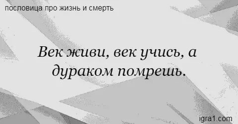 Пословица Век живи век учись а дураком помрешь.