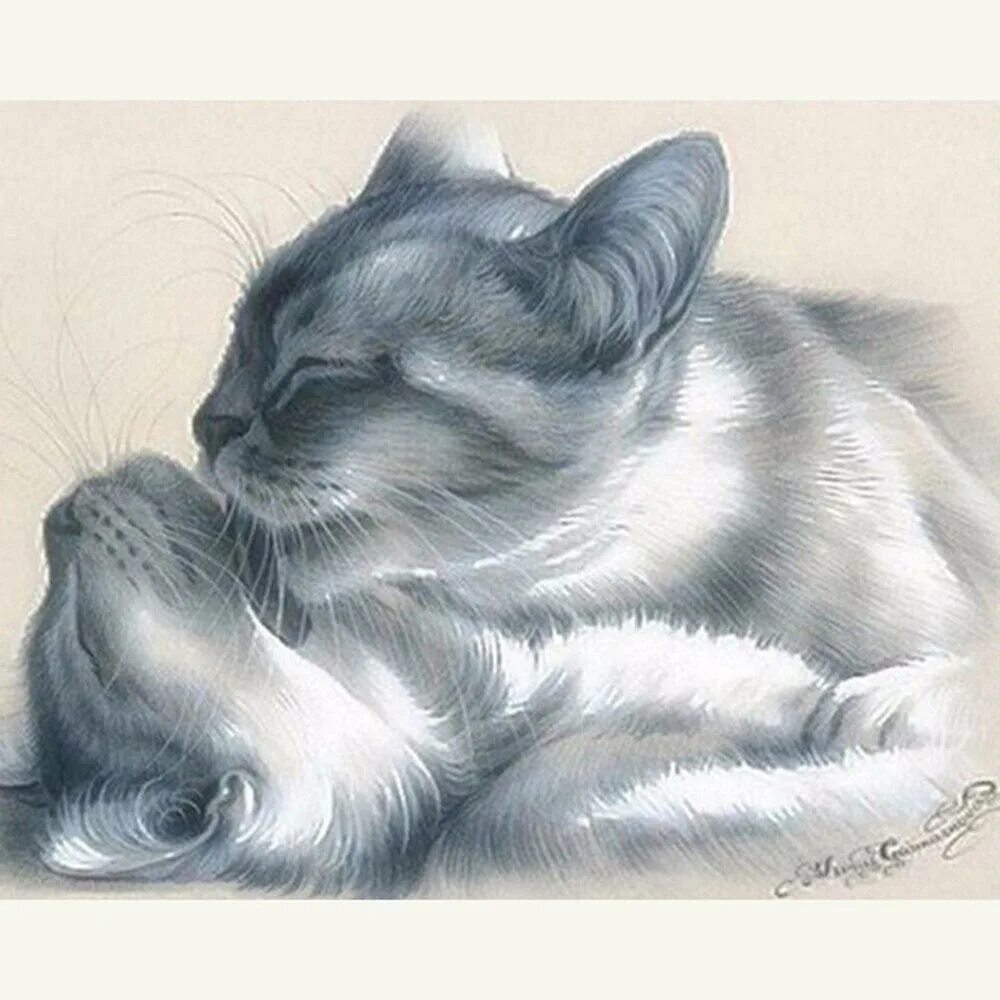 Мой ласковый котенок