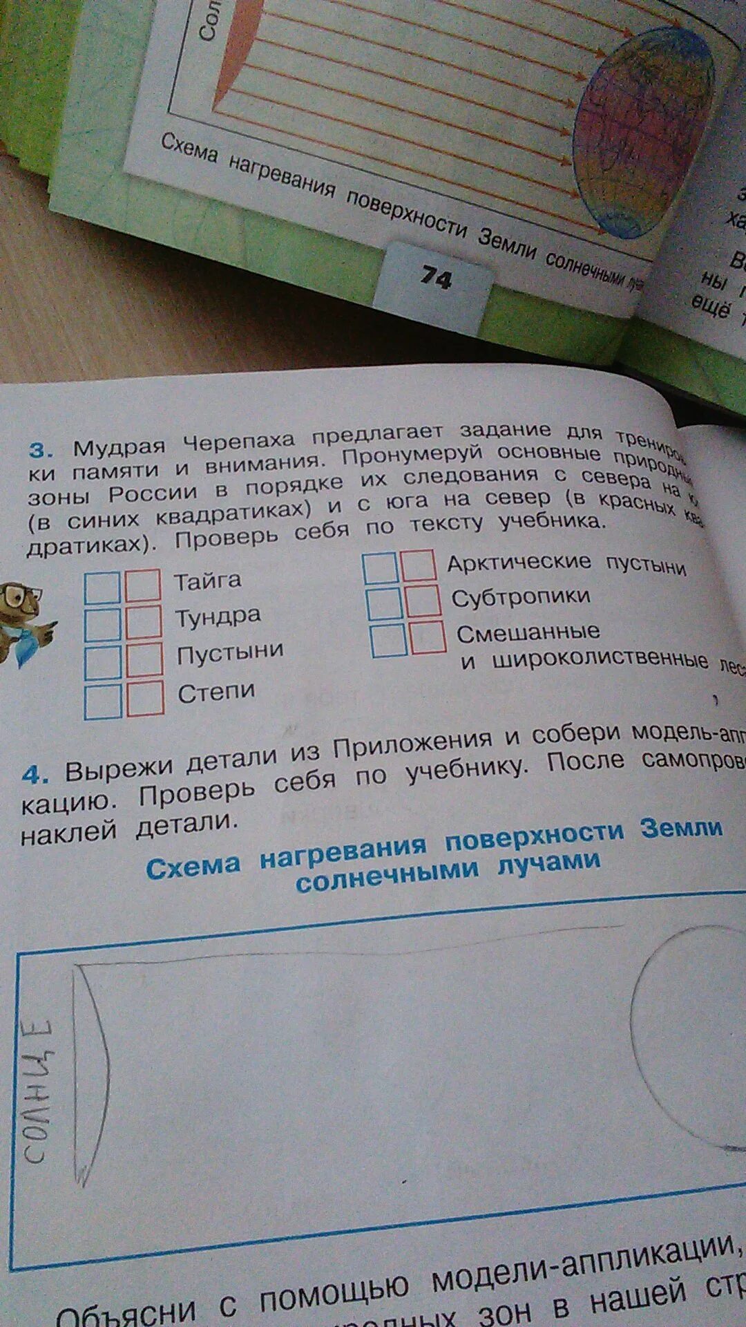 Мудрая черепаха предлагает тебе задание напиши. Мудрая черепаха предла. Мудрая черепаха предлагает задание. Мудрая черепаха предлагает задание для тренировки памяти и внимания. Мудрая черепаха предлагает задание для тренировки.