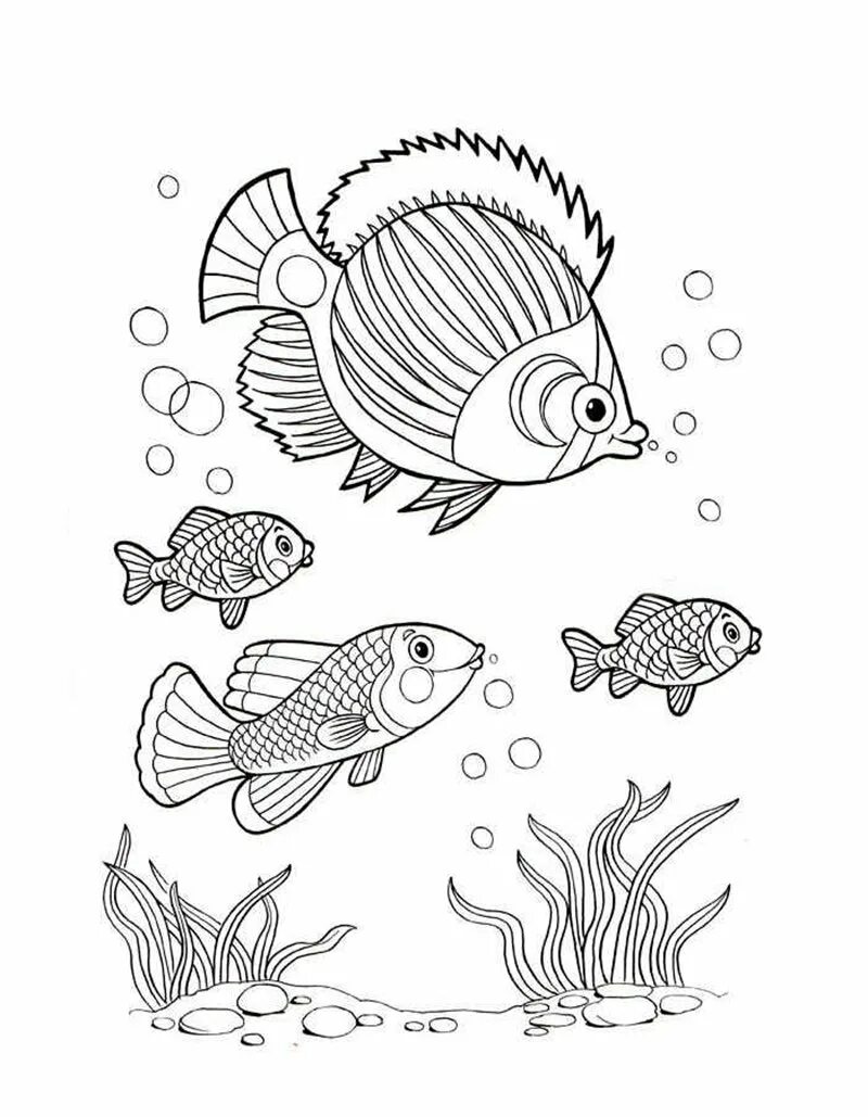 Раскраска рыбы для детей 7 лет. Рыба раскраска. Раскраска рыбка. Аквариумные рыбки раскраска для детей. Рыба раскраска для детей.