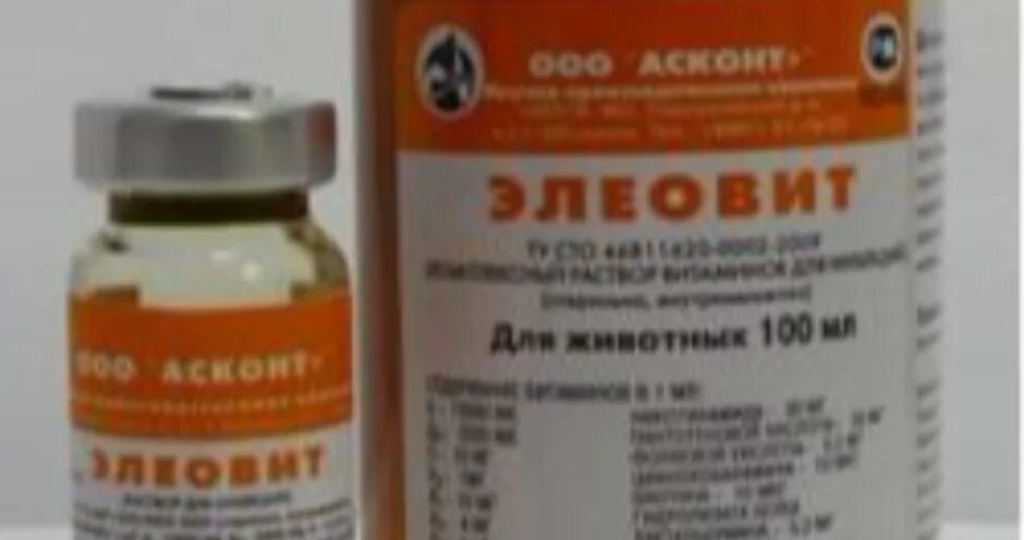 Элеовит для животных. Витамины для кур элеовит. элеовит для цыплят. элеовит для бройлеров цыплят. элеовит для кур несушек дозировка.