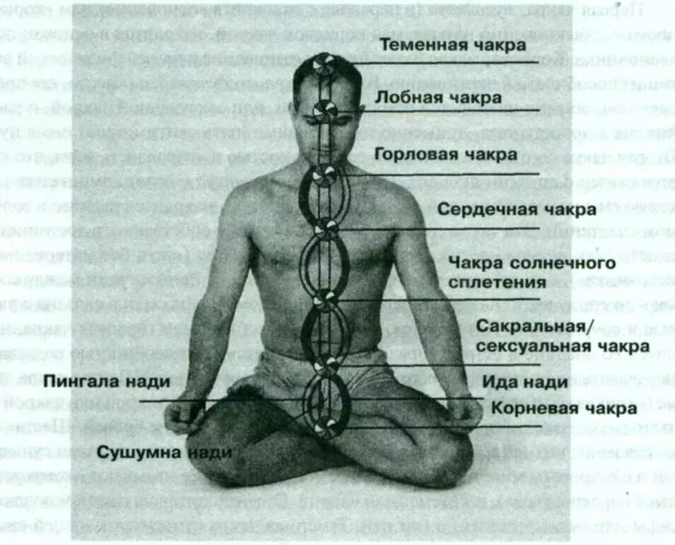 Чакры на теле. Корневая чакра. Чакры человека описание. Сердечная чакра расположение. Значение темени