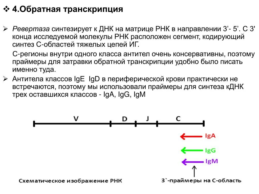 Транскрибируемая днк направление. ПЦР С обратной транскрипцией. Обратная транскрипция информации с РНК на ДНК характерна для вируса. Синтез двухцепочечной ДНК по матрице МРНК обратной транскриптазой. Процесс обратной транскрипции.