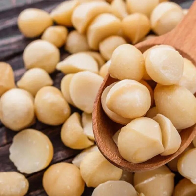 Сколько штук можно есть орех макадамия. Macadamia nuts. орех макадамия вьетнам. макадамия дерево. орех макадамия очищенный.