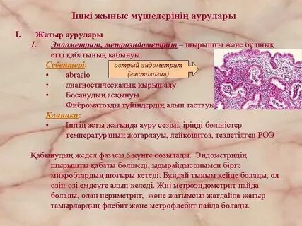 Далматианмен порно видео