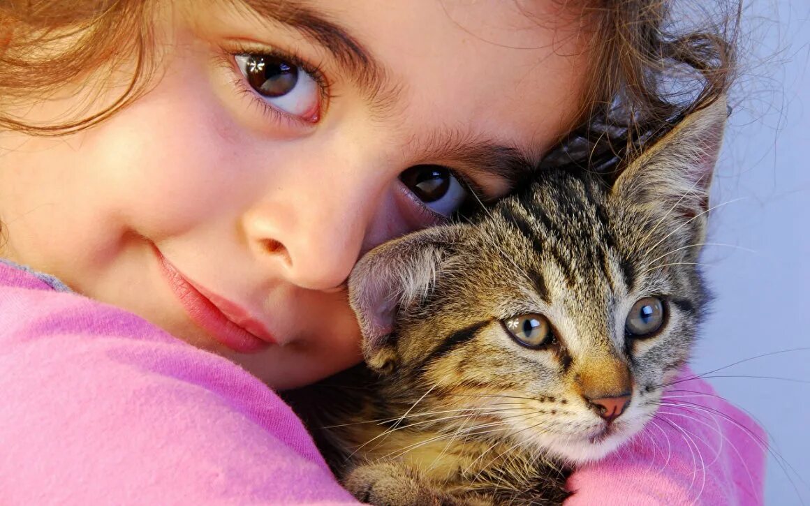 Для детей. Домашние животные для детей. Ребенок спит с котом. Животные. Для детей.