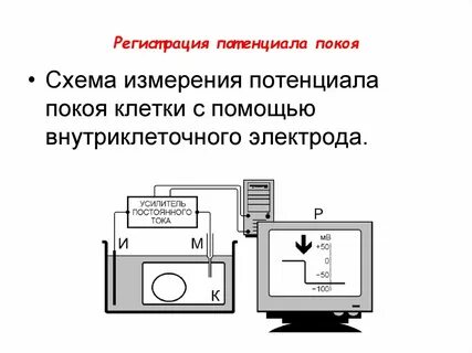 Как измерить потенциал