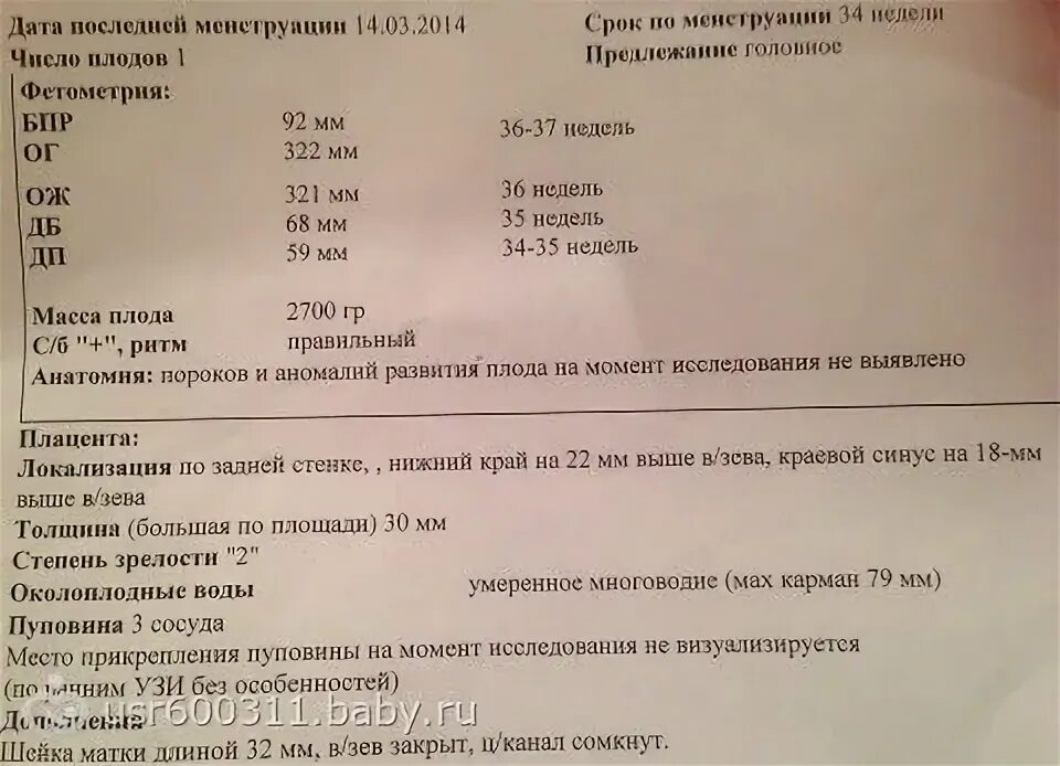 Шейка на 24 неделе. Нормы УЗИ плода по неделям. Что такое внутренний зев при беременности. Шейка матки нормы по неделям беременности. Нижний край плаценты от внутреннего зева.