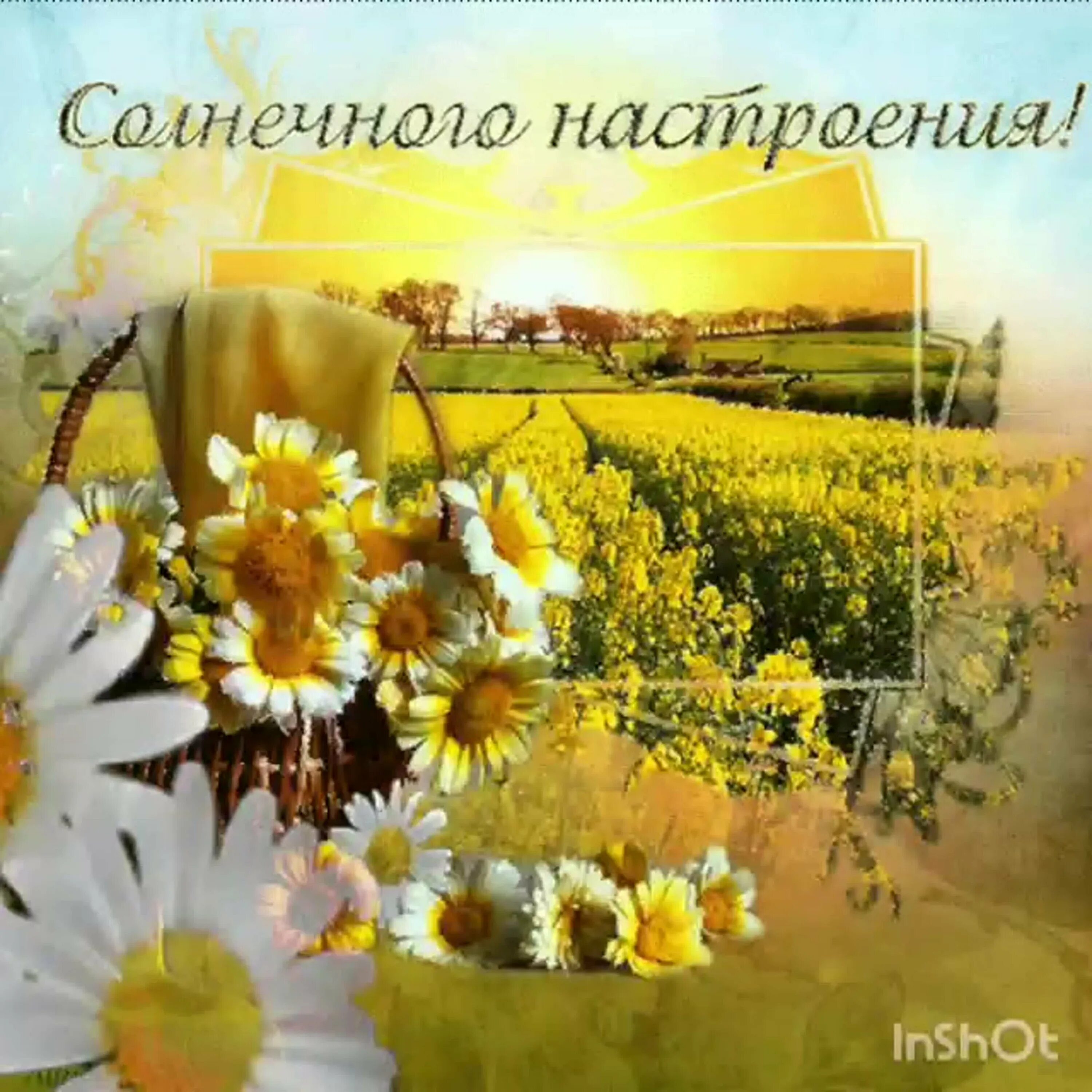 Хорошего апрельского дня и отличного настроения. Солнечноно настроение. солнечноготнастроения. доброго солнечного дня. доброе утро солнечного дня.