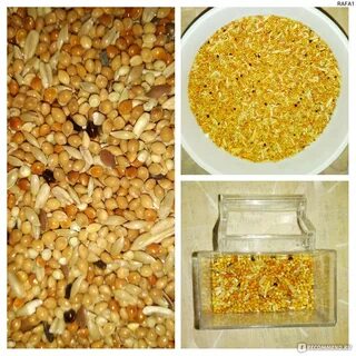Какую крупу давать