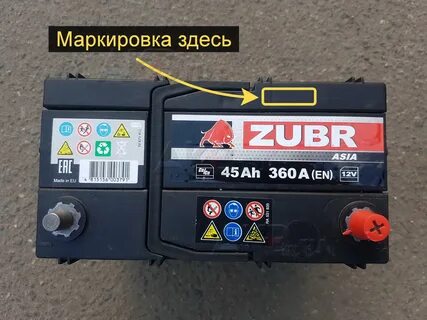 Зубр дата выпуска