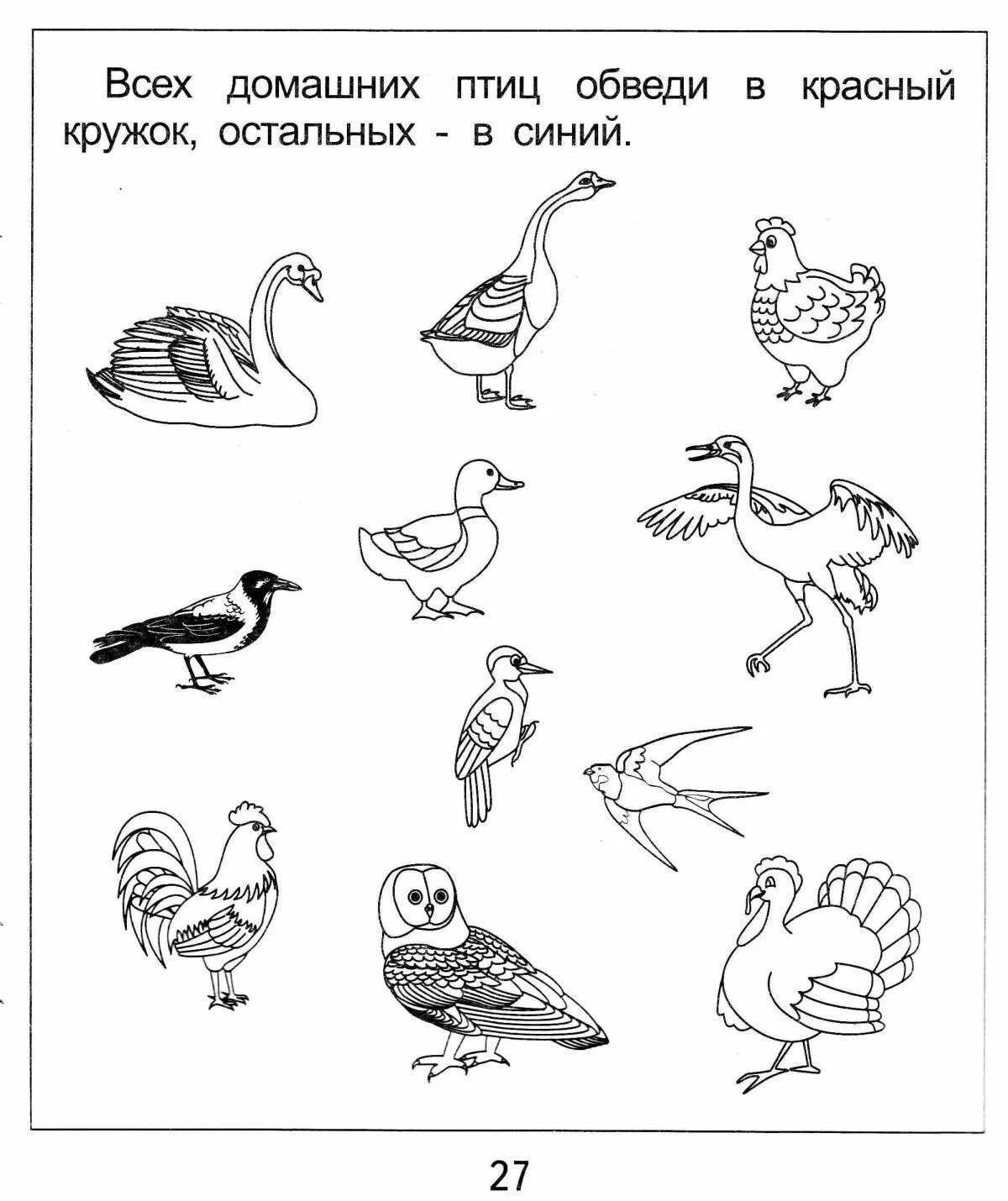 Рабочий лист птицы 1 класс. Перелетные птицы домашние задания для дошкольников. Рабочий лист птицы 1 класс. Задачи про птиц для дошкольников. Задания перелетные и зимующие птицы 1 класс.