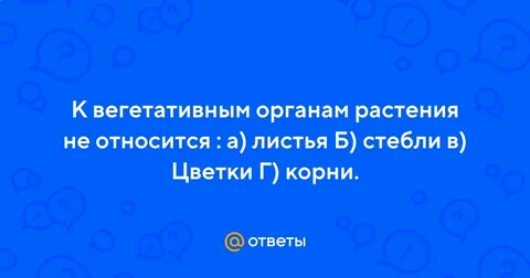 1 к вегетативным органам растений относится