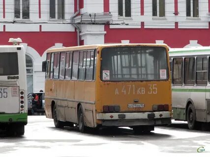 Вологда фетинино автобус