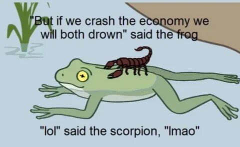 crash it bro Scorpion and Frog Know Your Meme