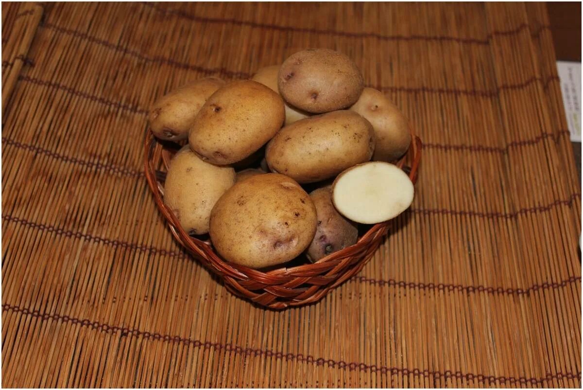 Картофель семенной Синеглазка. Сорт картофеля Синеглазка. Сорт картошки Синеглазка. Семена картофеля Синеглазка.