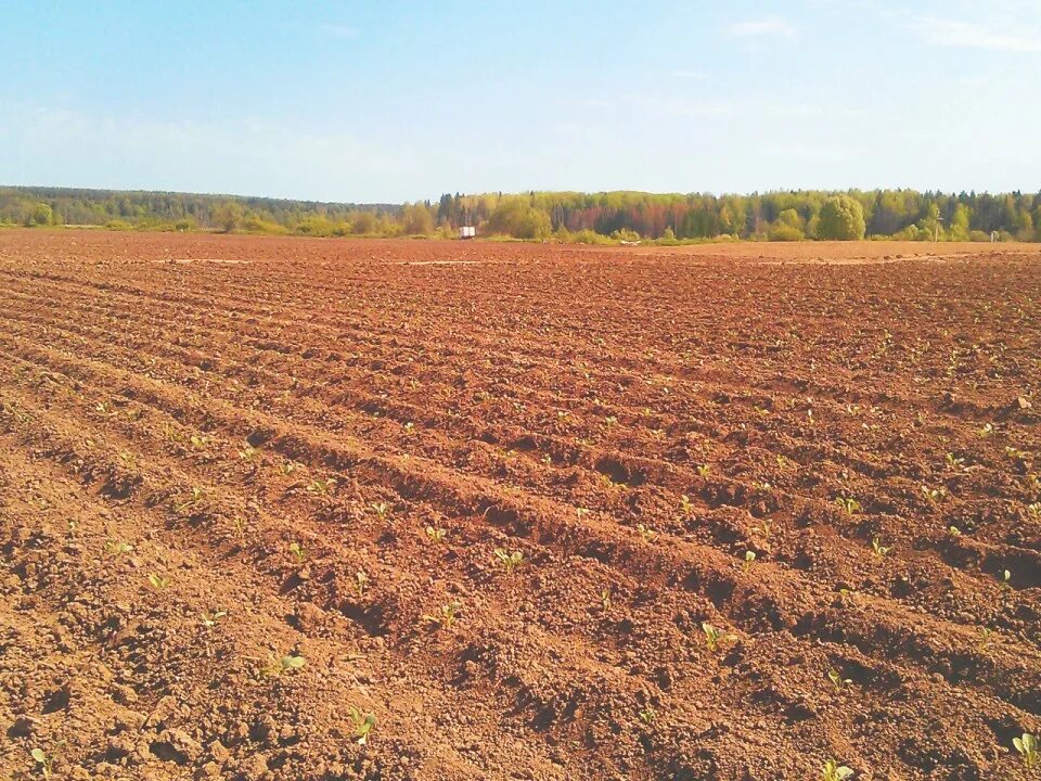 Пахотные земли. Ростовская область пашни. Поле пашня. Сельское хозяйство Ростовской области.