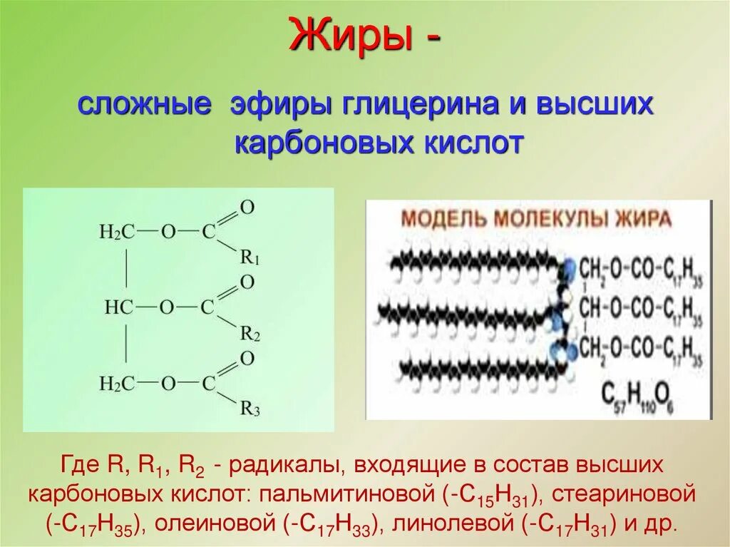 Сложные эфиры жиры строение. Строение молекулы сложных эфиров и жиров. Сложные эфиры глицерина и высших карбоновых кислот. Стеариновая кислота олеиновая кислота линолевая кислота. Радикалы жиров