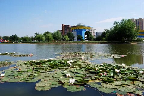 Московская область одинцово центральный