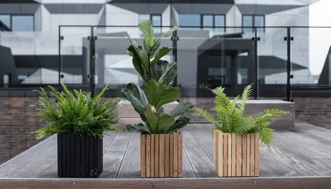 Planter's