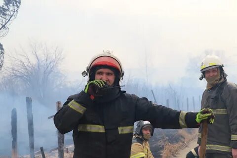 Видео пал
