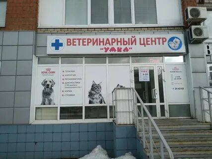 Ветеринар ижевск