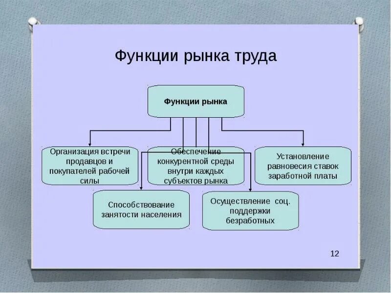 Экономические функции государства 10 класс обществознание презентация. Обществознание подготовка к ЕГЭ презентация. Государство в экономике ЕГЭ схема. Функции фирмы в экономике ЕГЭ Обществознание. Тема 32 социальные группы презентация подготовка к ЕГЭ.