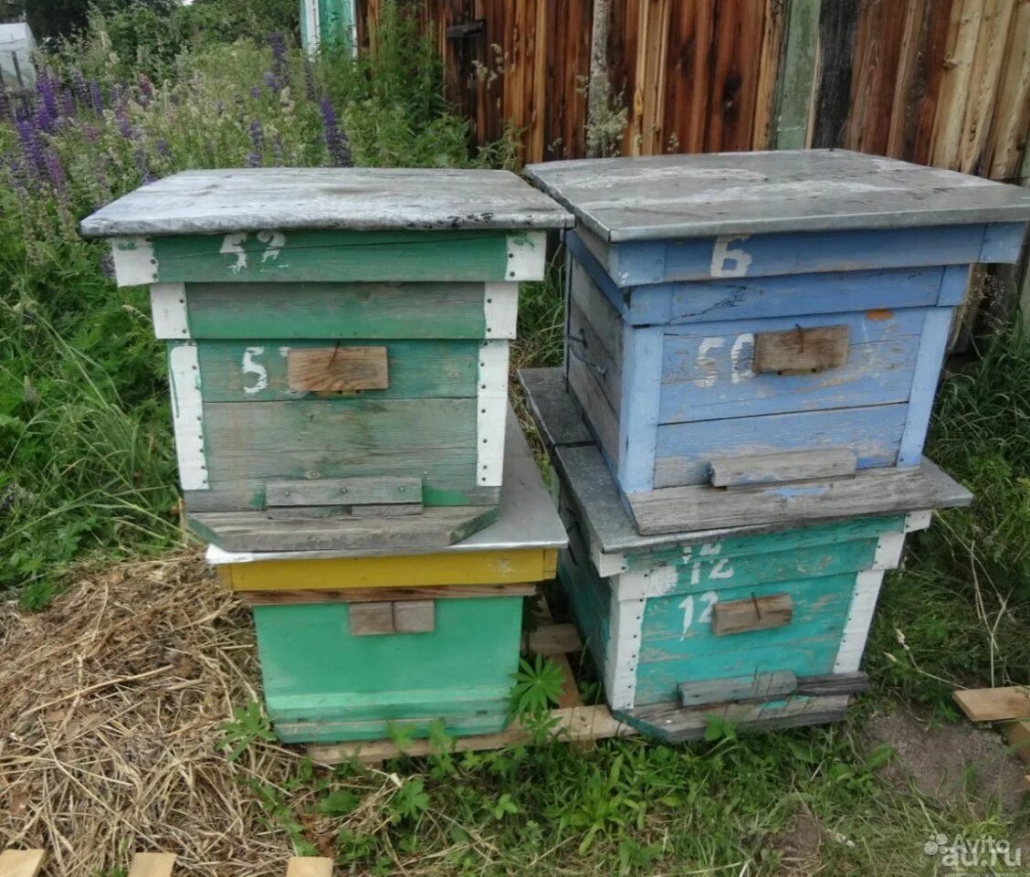 Купить пчел в челябинской области. Ульи для пчёл б у. Улья б/у. Продажа ульев. Самодельный улей для пчел.