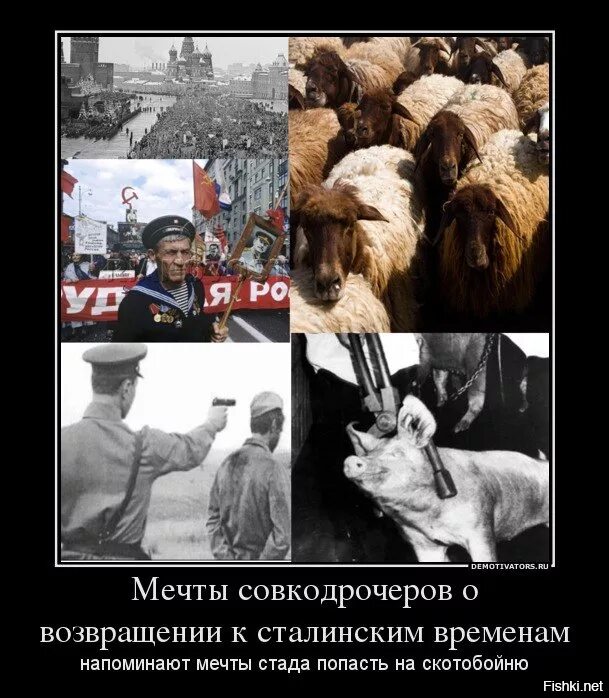 Против совка