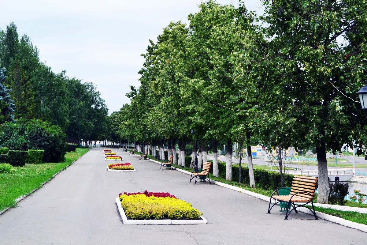 зеленый парк москва. парк площадь. пьер жесткофф ландшафтный архитектор. проект благоустройства дворовой территории ул 20 лет влксм 52. территория парка зеленый.