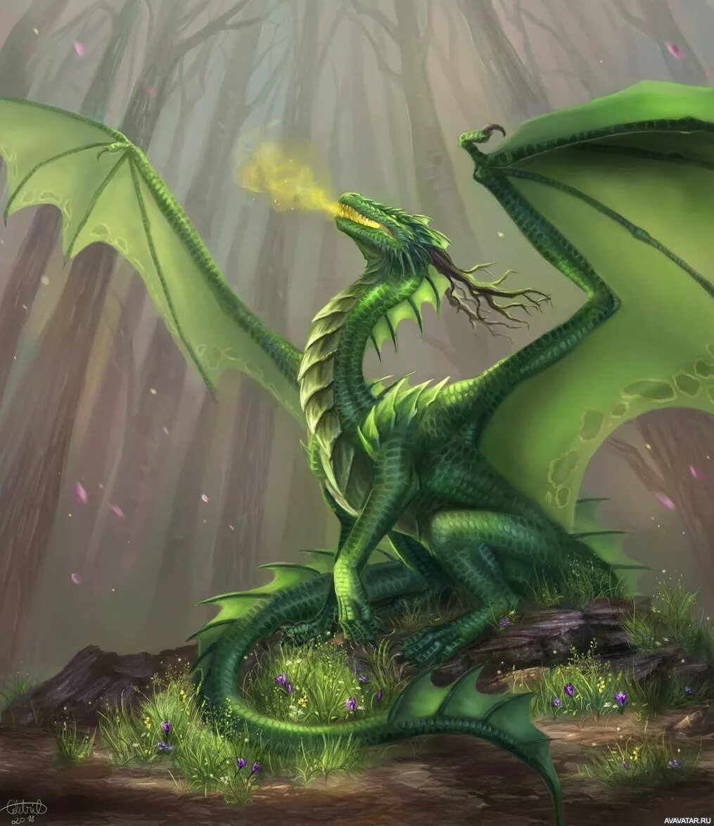 Брим зелёный дракон. Изумрудный дракон. Болотный дракон Альбион. Зелёный дракон виверна. Какой зеленый дракон