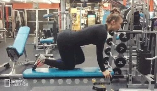 Бразерс в тренажерном зале. Спортивная девушка приседает. Отодрал в спортзале. Девушка и фитнес. Сек в тренажерном зале.
